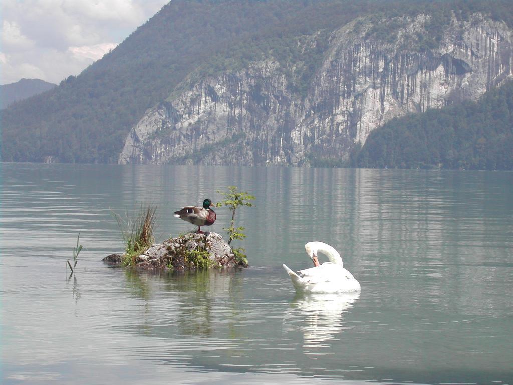 סנט גילגן Landhaus Leitner Am Wolfgangsee מראה חיצוני תמונה